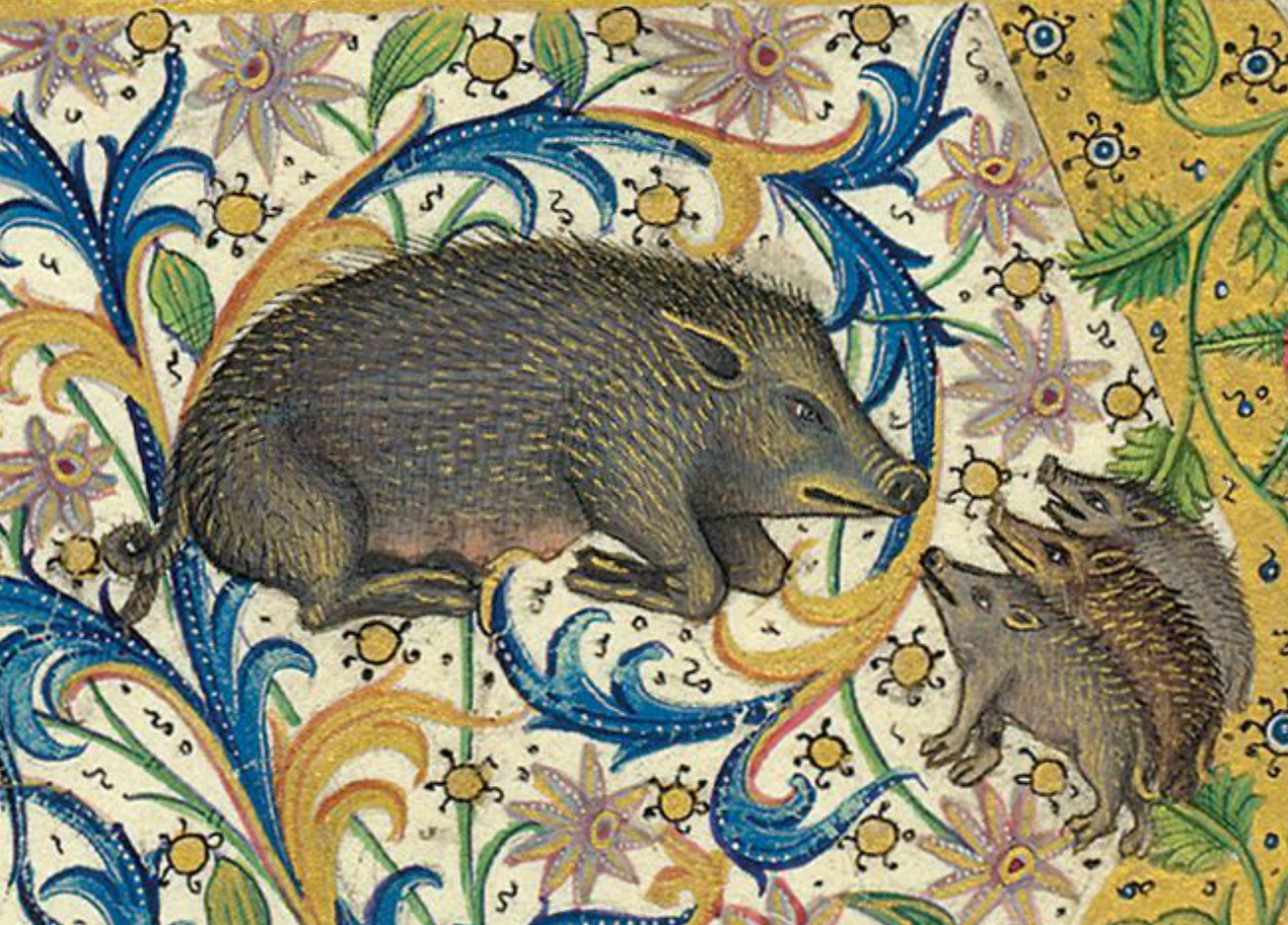 tumblr_mkpy2lQoN81rqxd5ko1_1280