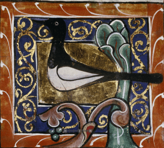 Screen Shot 2018-02-27 at 15.54.54