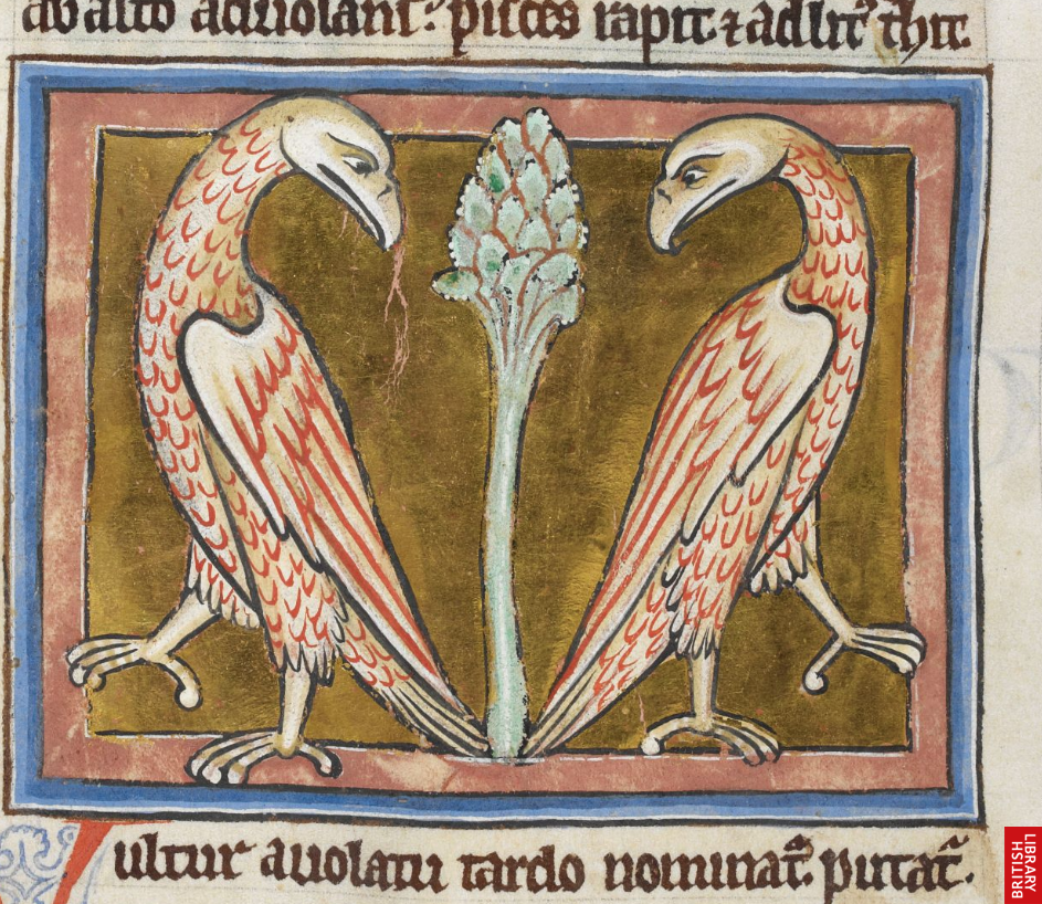 Screen Shot 2018-03-26 at 3.16.32 PM