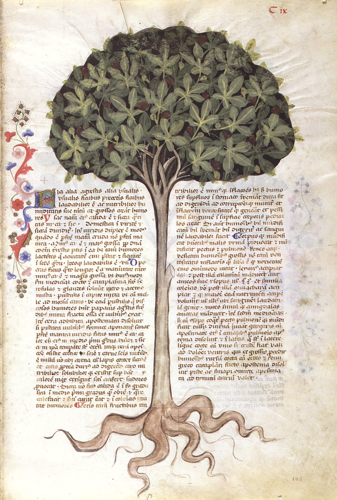 Screen Shot 2018-04-23 at 1.21.41 PM