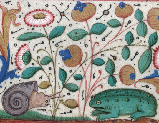 tumblr_nvp24zn9Xg1rqxd5ko1_540