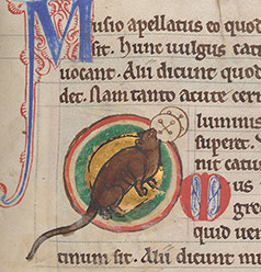 Screen Shot 2018-06-12 at 3.17.18 PM