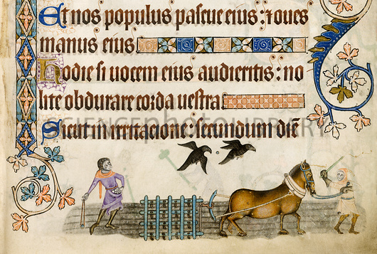 Medieval agriculture, Luttrell Psalter