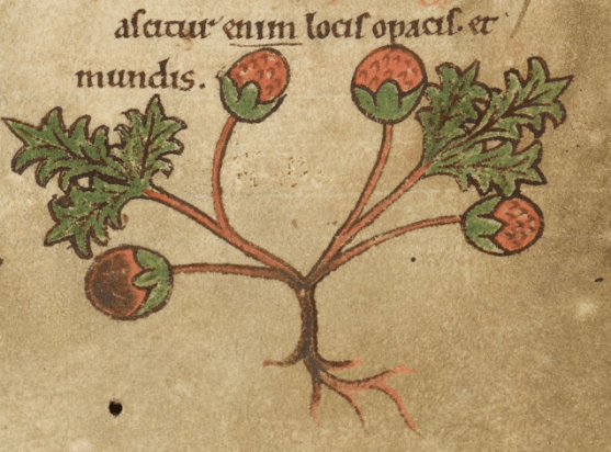 Screen Shot 2018-11-02 at 5.15.22 PM