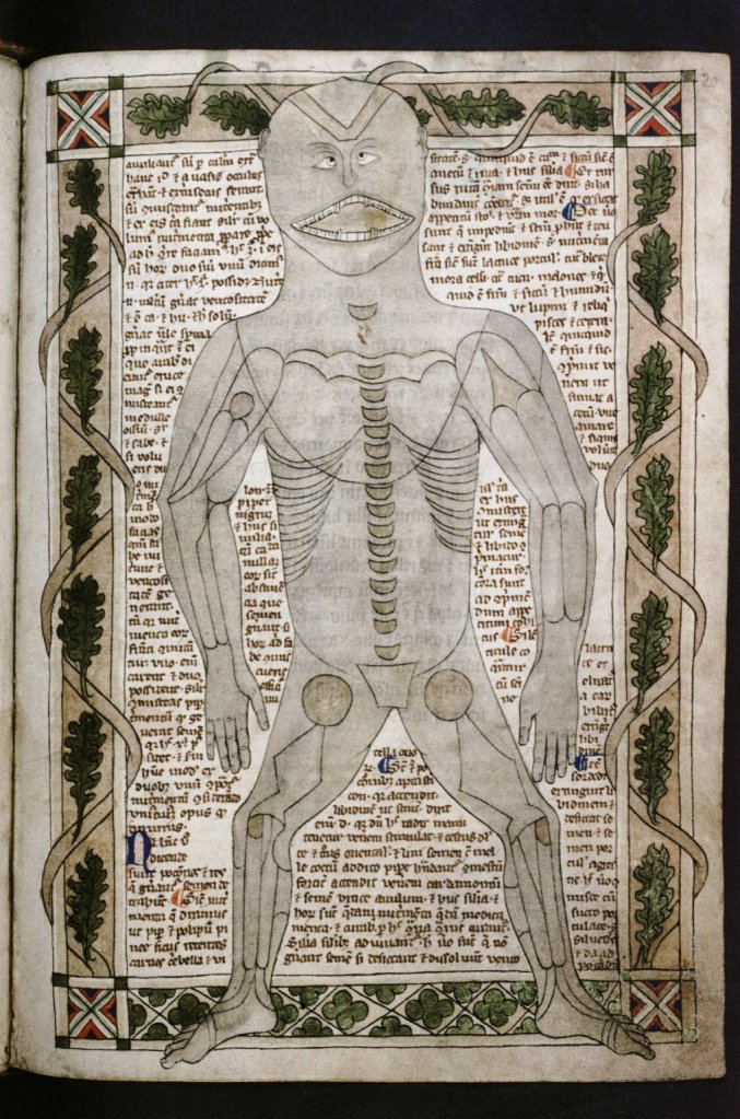 A man's body appears on a manuscript page. His bones are drawn on top of body. The man has a bemused expression. He is cross-eyed with a disproportionately large mouth.