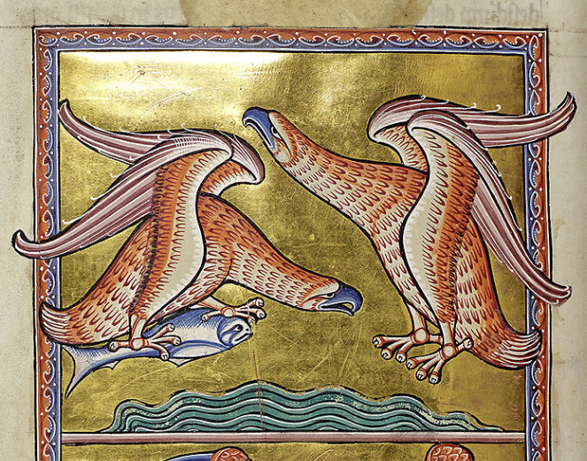 Medieval manuscript image of two eagles flying over a body of water. One eagle has a fish in its talons.