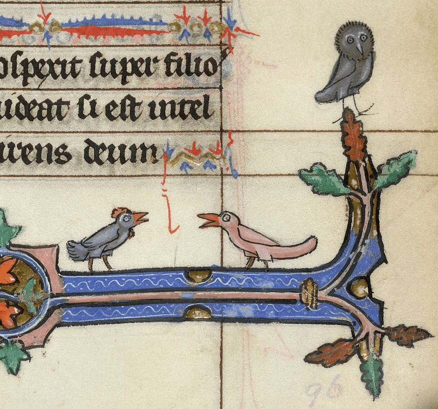 Medieval manuscript image of two birds facing each other and chirping. A grey owl watches from the foliage decorating the page’s margin.