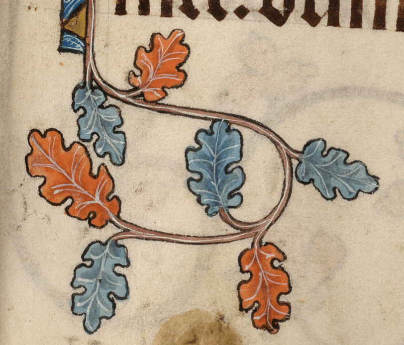 Medieval manuscript image of orange and green leaves growing from a curving branch or vine.