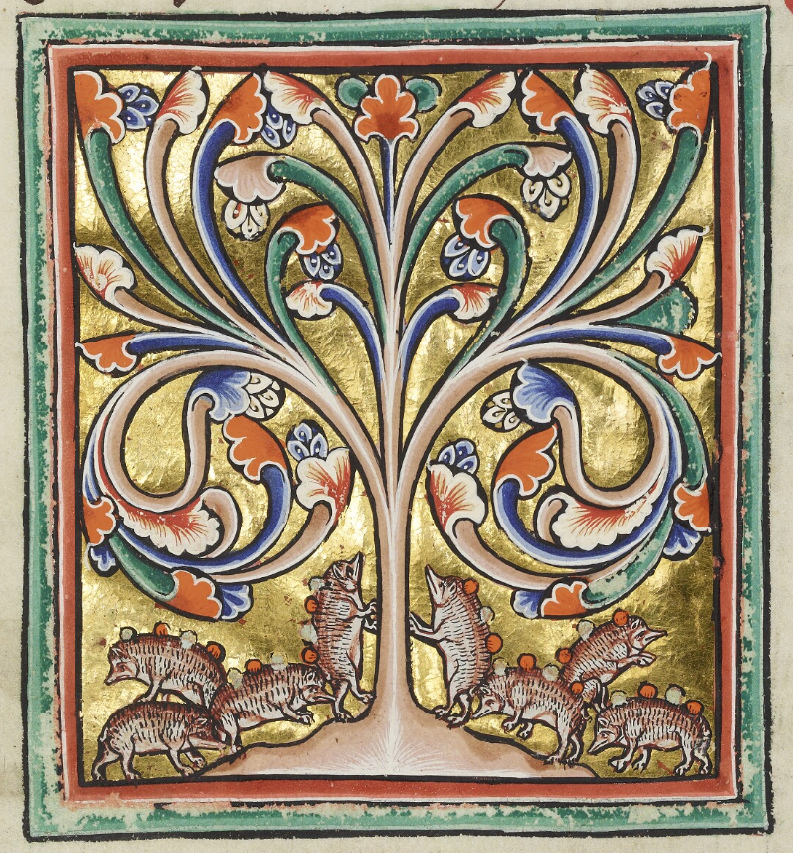 Medieval manuscript image of eight hedgehogs collecting round, red-and-white fruits on their backs underneath a colourful tree.