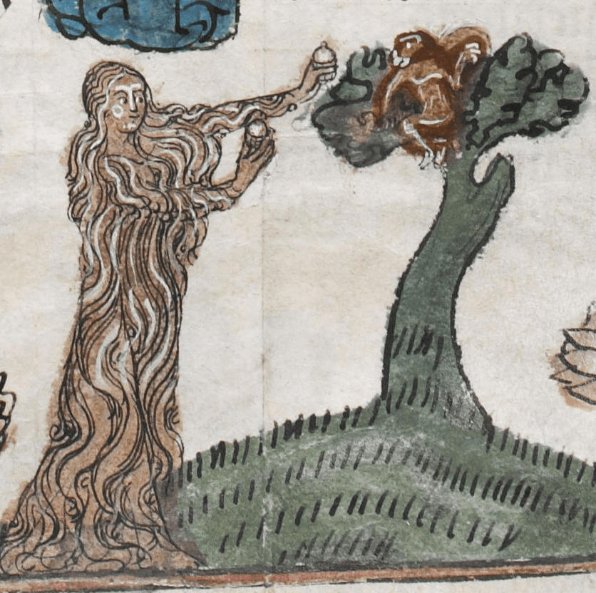 Medieval manuscript image of a woman clothed in her own hair, which drapes over her arms and even covers her feet. She hands some fruit to a monkey who sits in a tree.