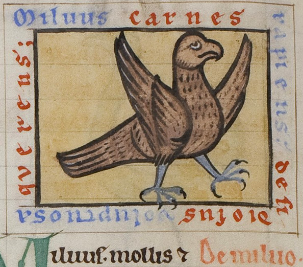 Medieval manuscript image of a brown, hook-beaked bird extending a talon and flapping its wings in the air.
