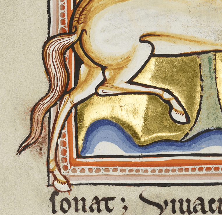 Medieval manuscript image cropped to show a horse’s tail, rear, and two hind legs.
