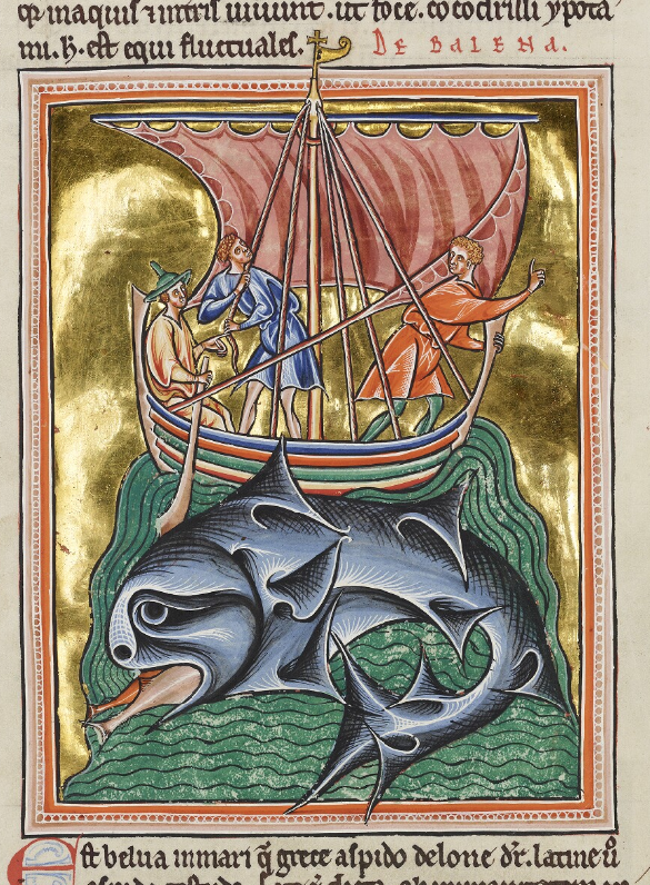 Medieval manuscript image of a boat carrying three men on the back of a giant fish-eating whale.