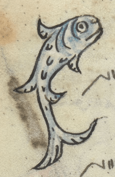 Medieval manuscript image of a fish.