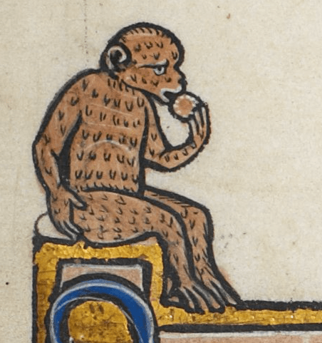 Medieval manuscript image of a monkey with a sad expression sitting and eating a biscuit or wafer.