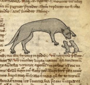 Medieval manuscript image of an open-mouthed grey wolf with her two small cubs.