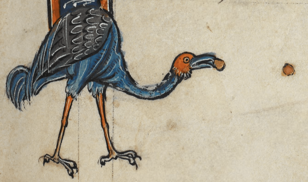 Medieval manuscript image of a bird resembling an emu holding a round gold morsel in its beak, with another morsel a couple paces beyond it.