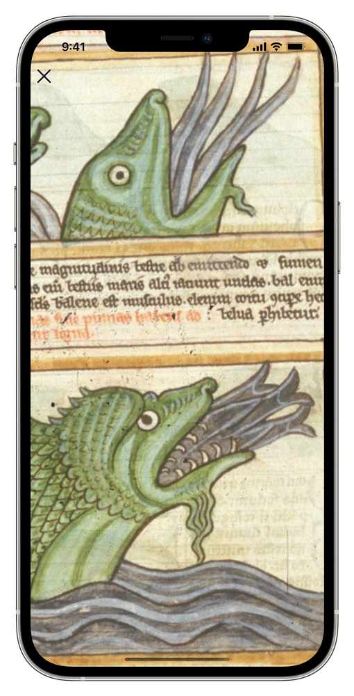iPhone showing a fullscreen manuscript image with some text and two whales with several large fish in their mouths.