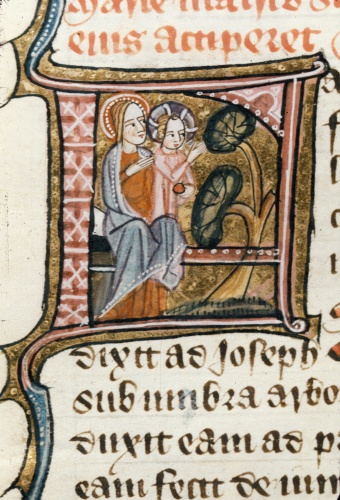 Medieval manuscript letter F, in which sit the Virgin Mary and the Christ Child; the child gestures to a tree, which bows towards him, while his mother affectionately rests a hand on his shoulder.