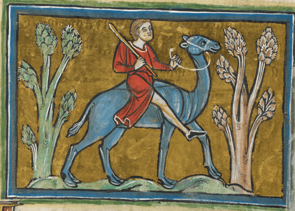 Medieval manuscript image of a rosy-cheeked man with a staff riding a cheerful-looking camel through some trees.