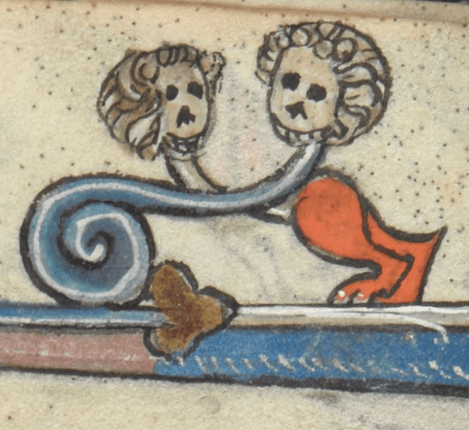 Medieval manuscript marginal drawing of two skulls with hair; their necks cross as they look back towards one another, one with animal-like hind legs, the other with a spiralling body.