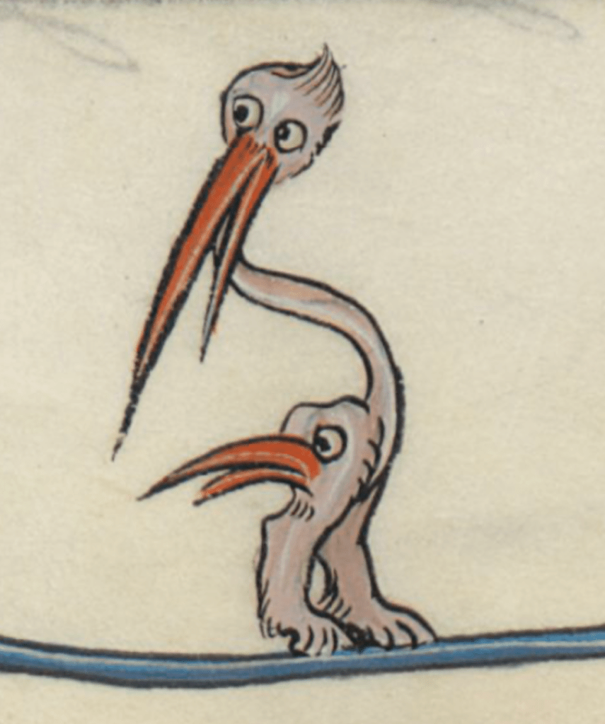 Medieval manuscript image of two bird-like heads with long beaks; one head is at the end of a long narrow neck which joins a pair of hairy animal legs, the haunch of which is actually the other head.