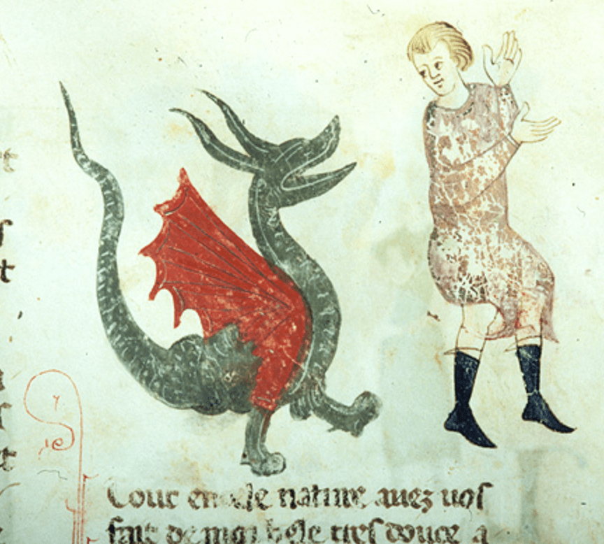 Medieval manuscript image of a two-legged green dragon with red wings and a gaping mouth following a young man who looks remarkably unconcerned as he looks over his shoulder.