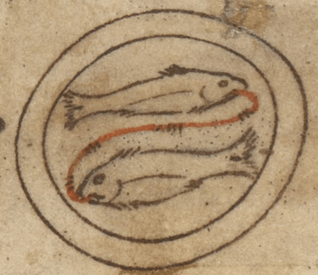 Medieval manuscript depiction of Pisces, with two fish facing opposite directions within two circles, their mouths connected by a curving red line.