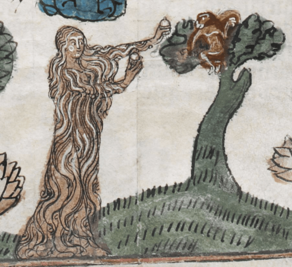 Medieval manuscript illustration of a woman whose hair is so long that it covers her entire body, her arms, and all the way to her toes, like a kind of dress; she is handing some kind of fruit or nut to a monkey in a tree.