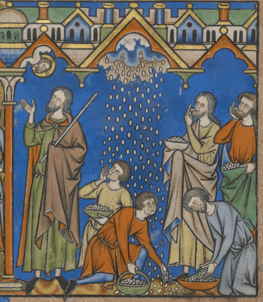 Medieval manuscript image of a group of people gathering pieces of bread that fall from the sky; a bearded man holding a rod motions towards a haloed man’s face in the sky.
