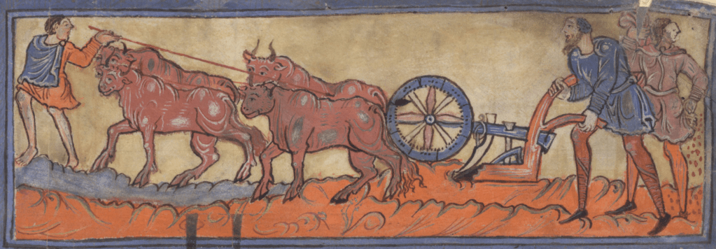 Medieval manuscript image of three men working in a field, with four muscular oxen drawing a plough; a bearded man guides the plough, and behind him another man scatters grain.