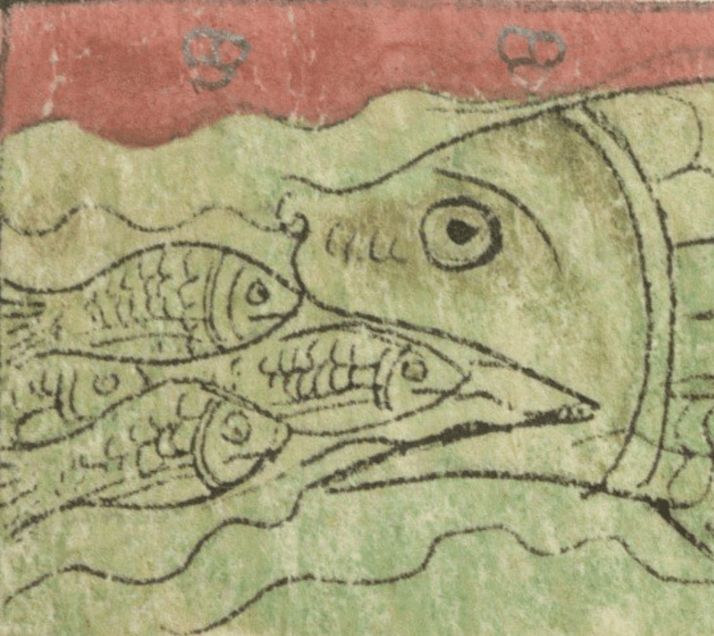 Medieval manuscript image of a large fish with a gaping mouth about to swallow three unwitting smaller fish who are swimming right towards it.