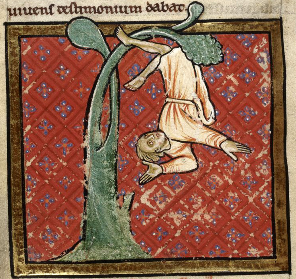Medieval manuscript image of a man tumbling head-first out of a rather abstract-looking tree.