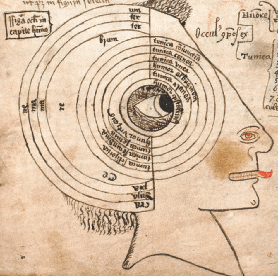 Medieval manuscript image of a diagram of a face in profile, with a large eye in the centre, around which are rings with different labels in Latin; further layers are labelled around the back of the skull.
