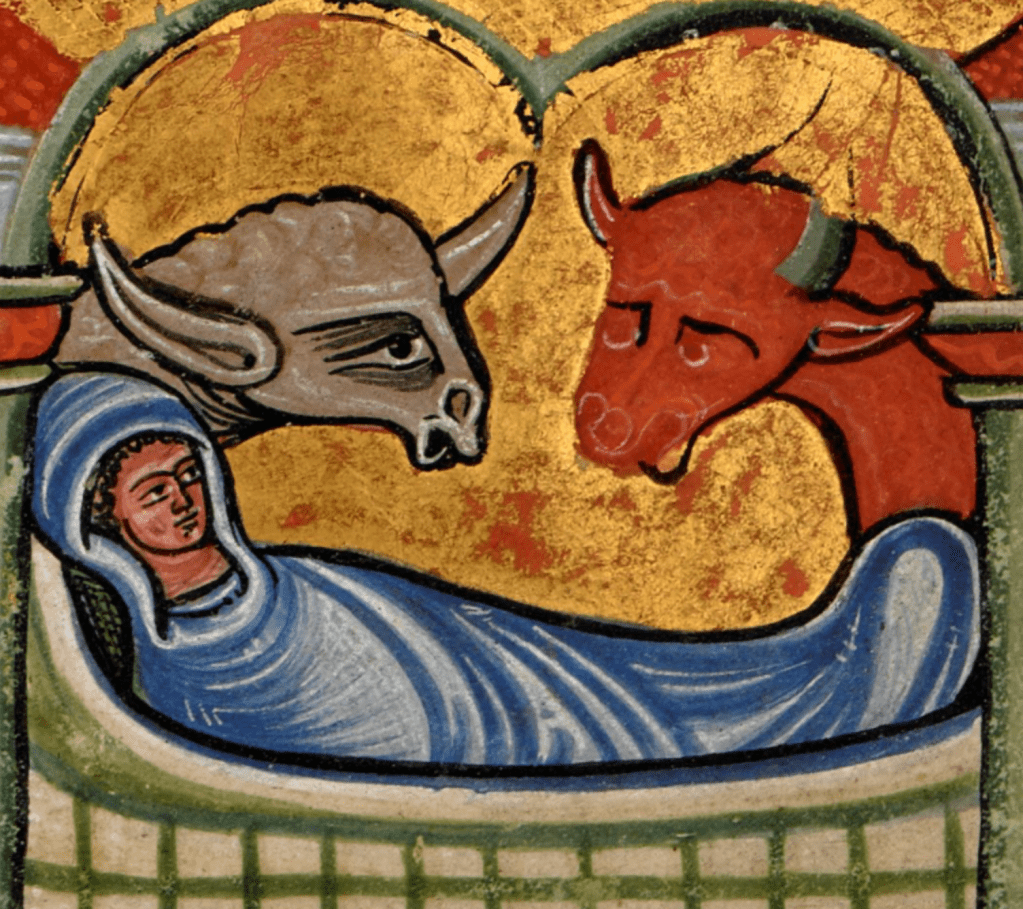 Medieval manuscript image of the baby Jesus swaddled in blue cloth and lying in a manger where a very peevish-looking sheep and a cow missing its eyes and nose bend over him.