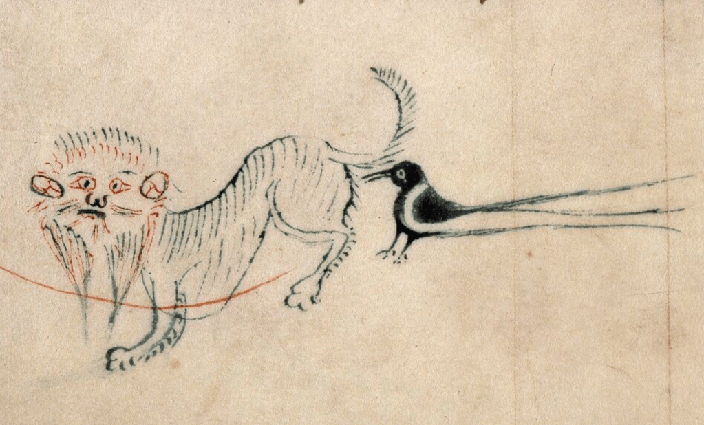 Medieval manuscript image of a rather surprised looking lion with its tail in the air that has a large magpie pecking at its rear end.