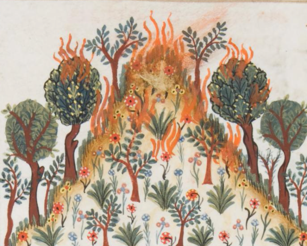 Medieval manuscript image of flames burning the grass and trees on the top half of a flower-covered hill.