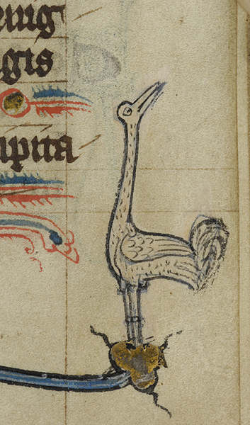Medieval manuscript image of a long-necked bird, possibly a crane, perching on the end of a foliate bar.