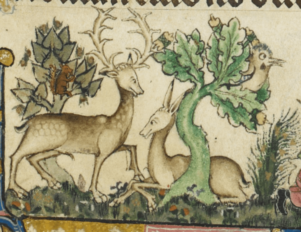 Medieval manuscript image of a doe and a stag between two trees; in one tree is a squirrel and in the other is a rather comically large bird.