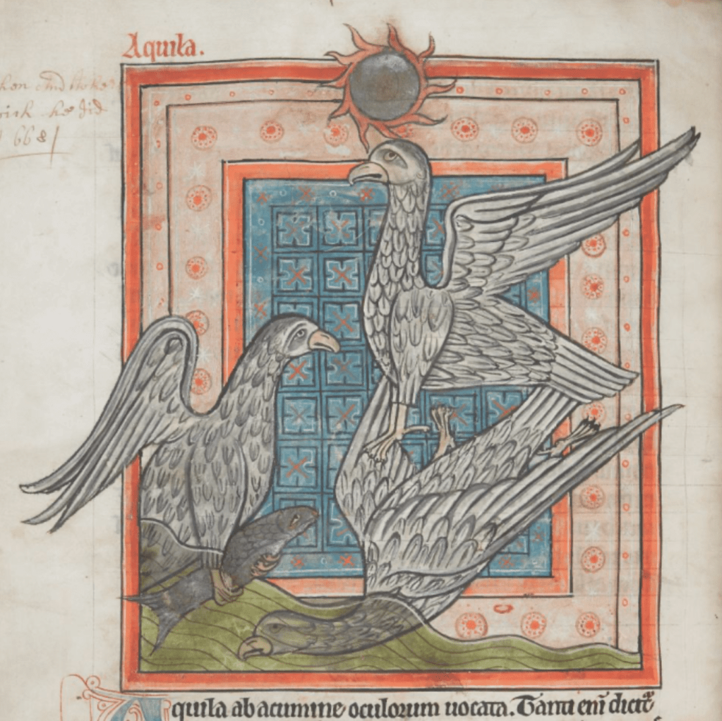 Medieval manuscript image of an eagle diving into the water, an eagle flying out of the water with a fish in its talons, and an eagle flying all the way up to the sun.