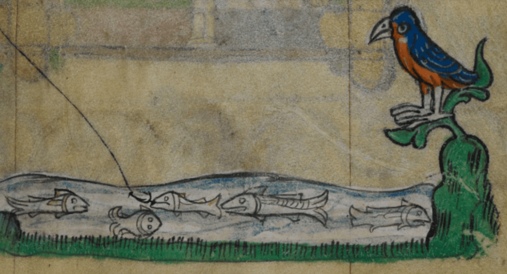 Medieval manuscript image of fish swimming in a pool, one of which is about to bite a fishing hook, the line of which extends off the page; a bird perches on a nearby plant and watches.
