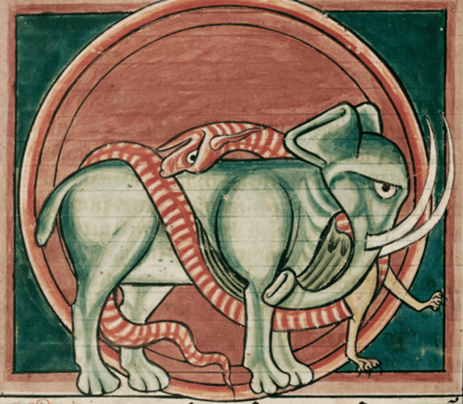 Medieval manuscript image of a dragon attacking an elephant, the long, striped, sinuous dragon body wrapped all around the elephant’s torso.