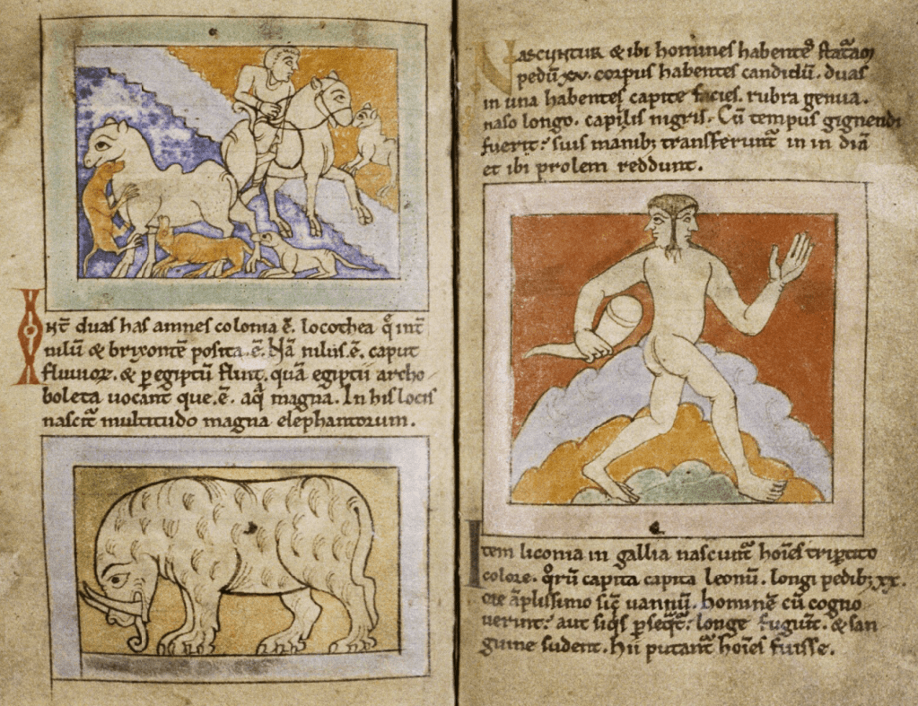 Medieval manuscript with Latin text and three framed illustrations: a person riding a camel with another camel getting attacked by dog-like creatures; a rather hairy elephant; and a naked two-faced person carrying a horn.