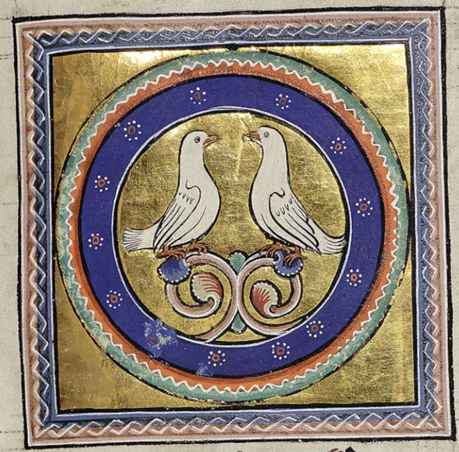 Medieval manuscript image of two white doves facing each other, perched on a plant inside a double circle frame, which is inside a square frame with an interlace design.
