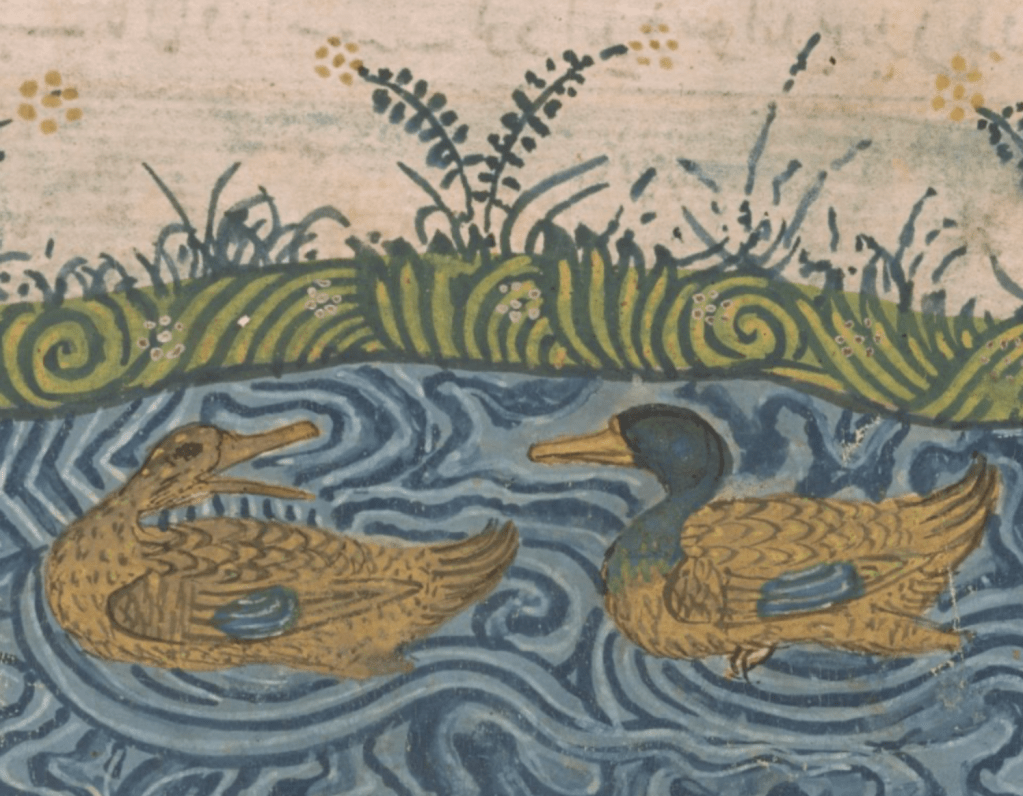 Medieval manuscript image of two ducks swimming in water with a grassy shore in the background.