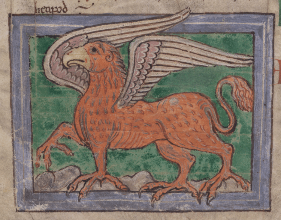 Medieval manuscript image of an orangey-brown griffin, sporting a pair of feathery wings, four talon-like feet and an eagle’s hooked beak; it poses sedately with one forefoot in the air.