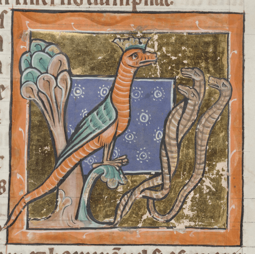 Medieval manuscript image of a basilisk — a serpentine creature with bird’s wings and talons wearing a crown — with three lesser snakes paying homage.