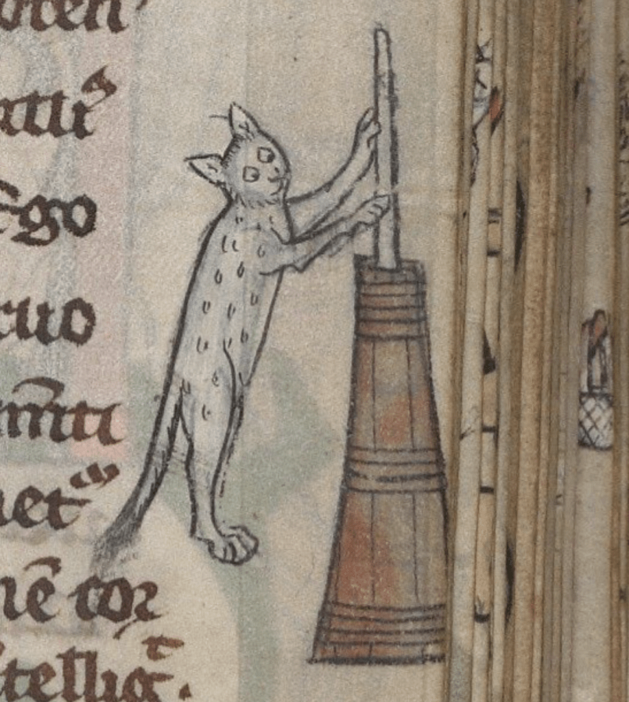 In the margin of a medieval manuscript a cat stands on its hind legs churning butter.