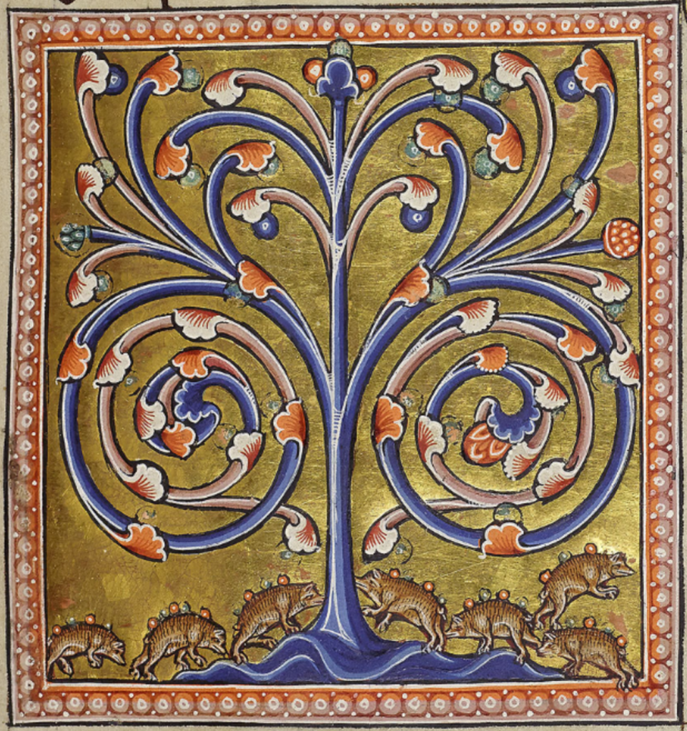 Medieval manuscript image of seven little hedgehogs impaling fruit on their spines beneath a curvy-branched tree or vines.
