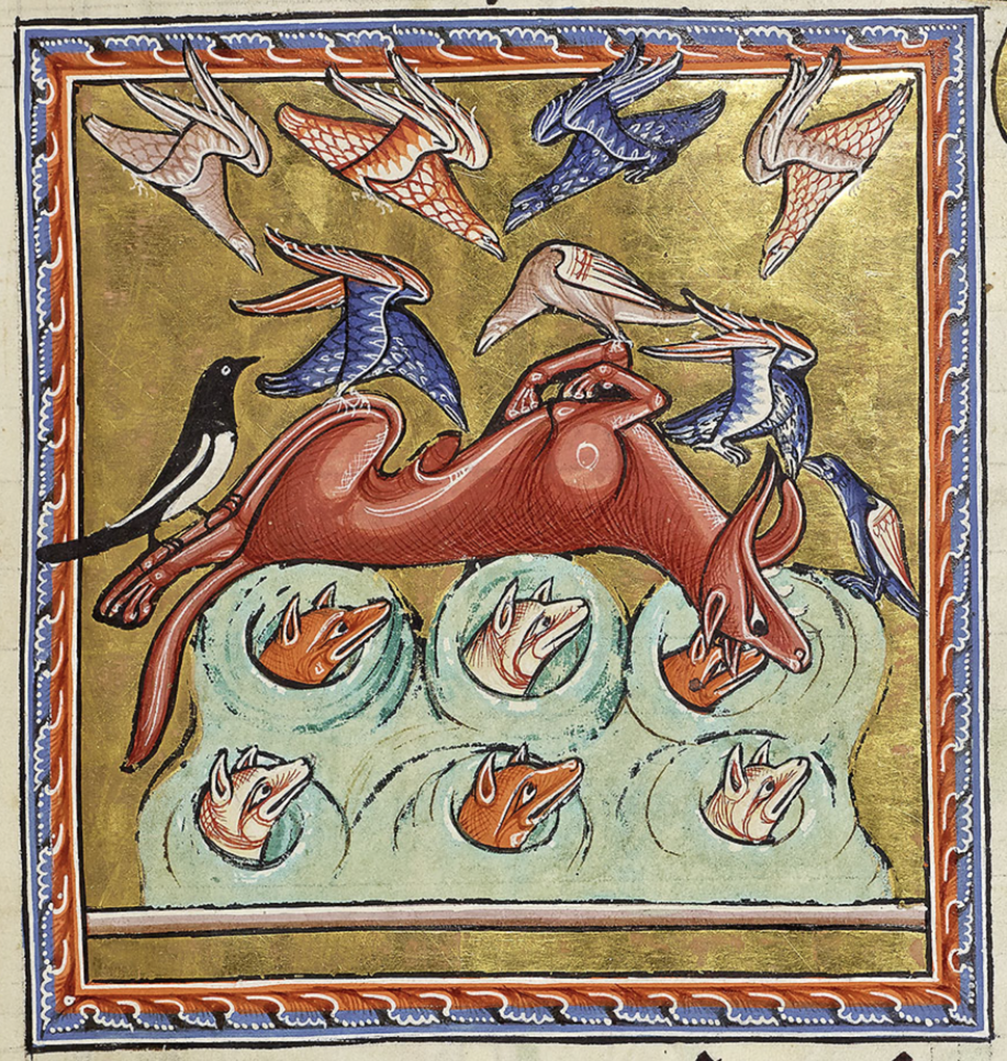 Medieval manuscript image of a fox playing dead to lure birds close enough to catch; young foxes wait for a meal in the holes below.